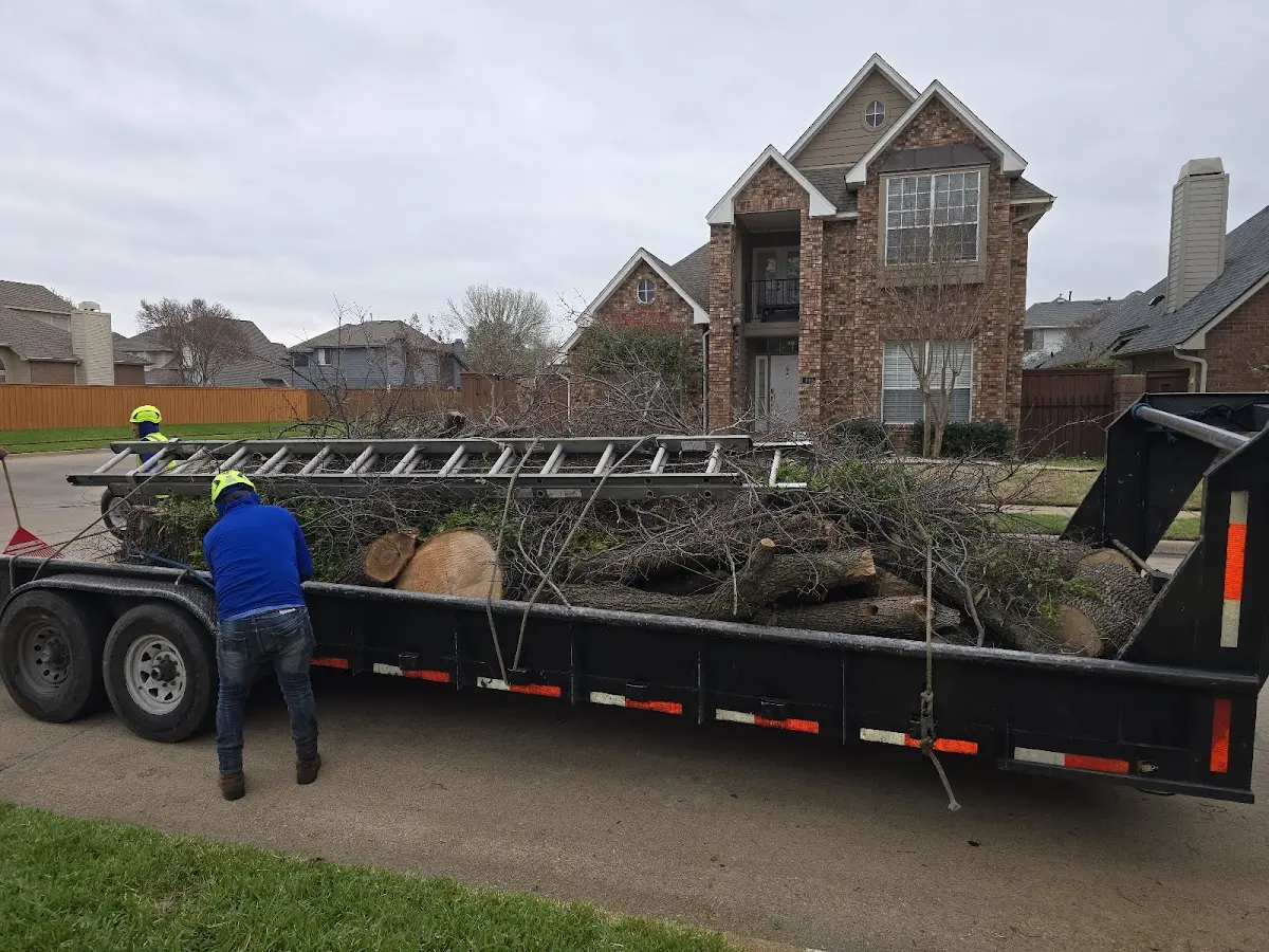 Expert Lot Clearing with proper safety equipment in Bloomfield